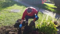Pan Damian pomaga w pracach porządkowych w ogrodzie.