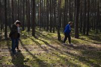 Kojący spacer na łonie natury.