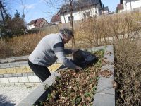 Mieszkańcy porządkują grządki w Ogrodzie Terapeutycznym.