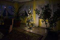 Blask świątecznego drzewka na świetlicy w Zespole Mieszkalnym.