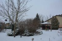 Mieszkańcy na spacerze w ogrodzie. Nasz Dom i ogród w śnieżnej scenerii.