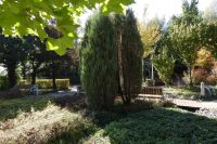 Spacer Mieszkańców do Ogrodu Terapeutycznego w pierwszych dniach jesieni.