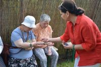 Zdjęcia z naszego pierwszego pikniku w Ogrodzie Terapeutycznym, zorganizowanego latem 2025.