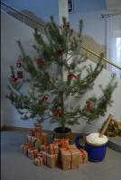 Świąteczne dekoracje oraz wspólne zajęcia w ostatnich dniach przed Bożym Narodzeniem 2025 roku.