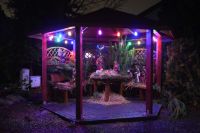 Świąteczne dekoracje oraz wspólne zajęcia w ostatnich dniach przed Bożym Narodzeniem 2025 roku.