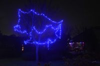 Świąteczne dekoracje oraz wspólne zajęcia w ostatnich dniach przed Bożym Narodzeniem 2025 roku.