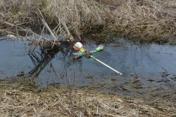 I tak oto Marzanna popłynęła w siną dal.