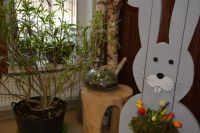 Przygotowania do Wielkanocy oraz świąteczne dekoracje w 2026 roku.