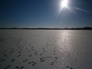 Wspaniały, zimowy krajobraz jaki mieliśmy okazję oglądać.