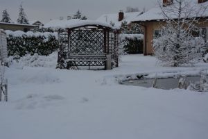 Ogród zimą. Oczko wodne.